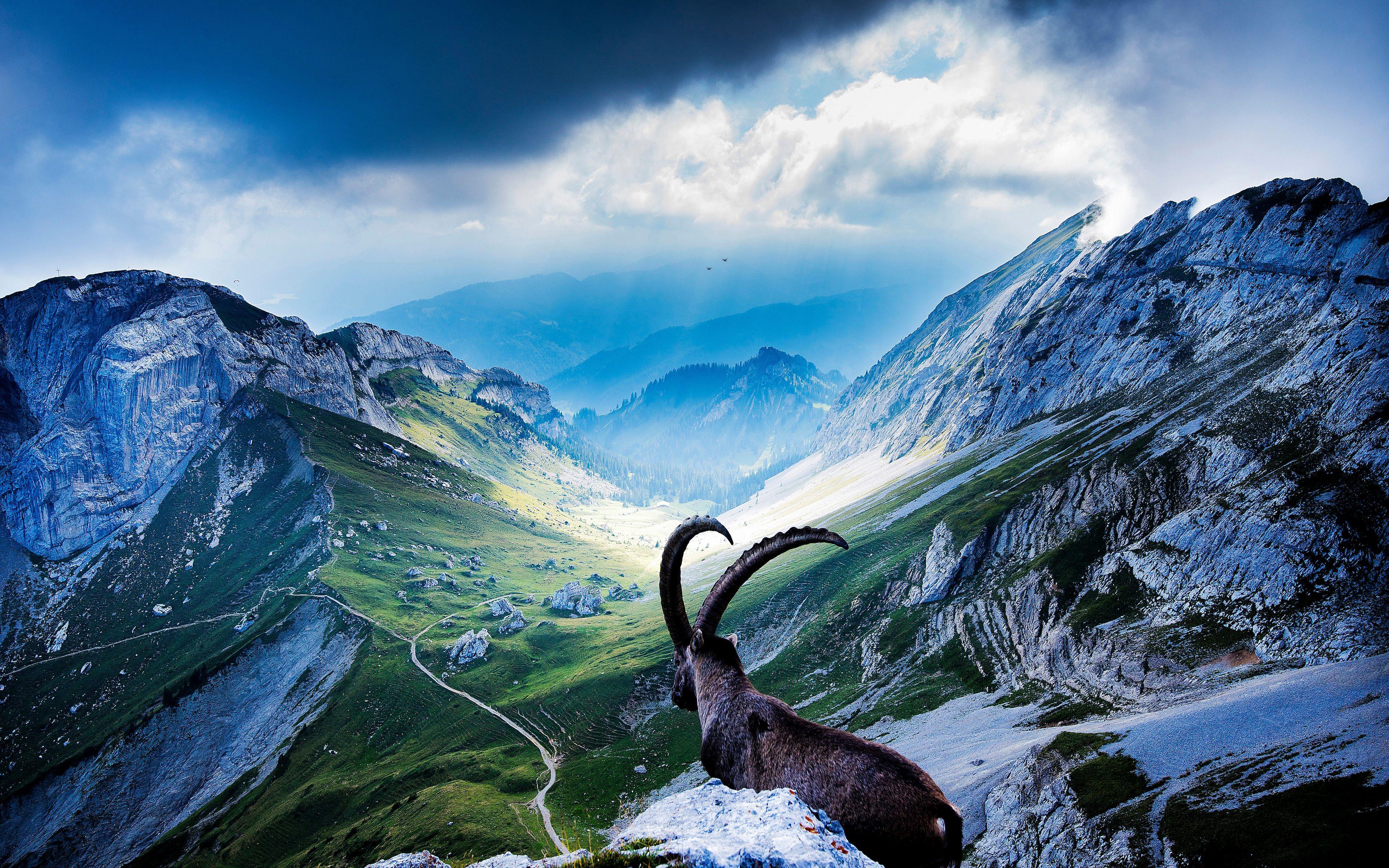Detail Switzerland Wallpaper 4k Nomer 17