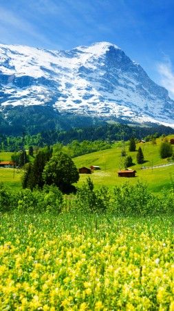 Detail Switzerland Wallpaper 4k Nomer 37