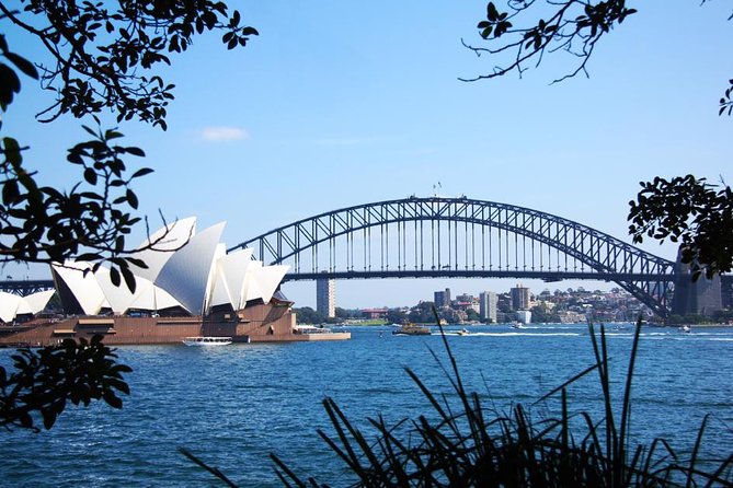 Detail Sydney Opera House And Harbour Bridge Photos Nomer 3