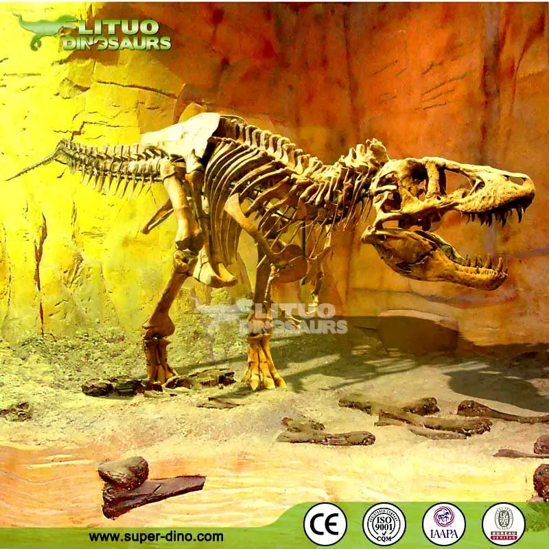 Detail T Rex Asli Nomer 42