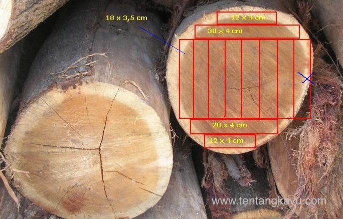 Detail Tabel Kayu Log Nomer 13