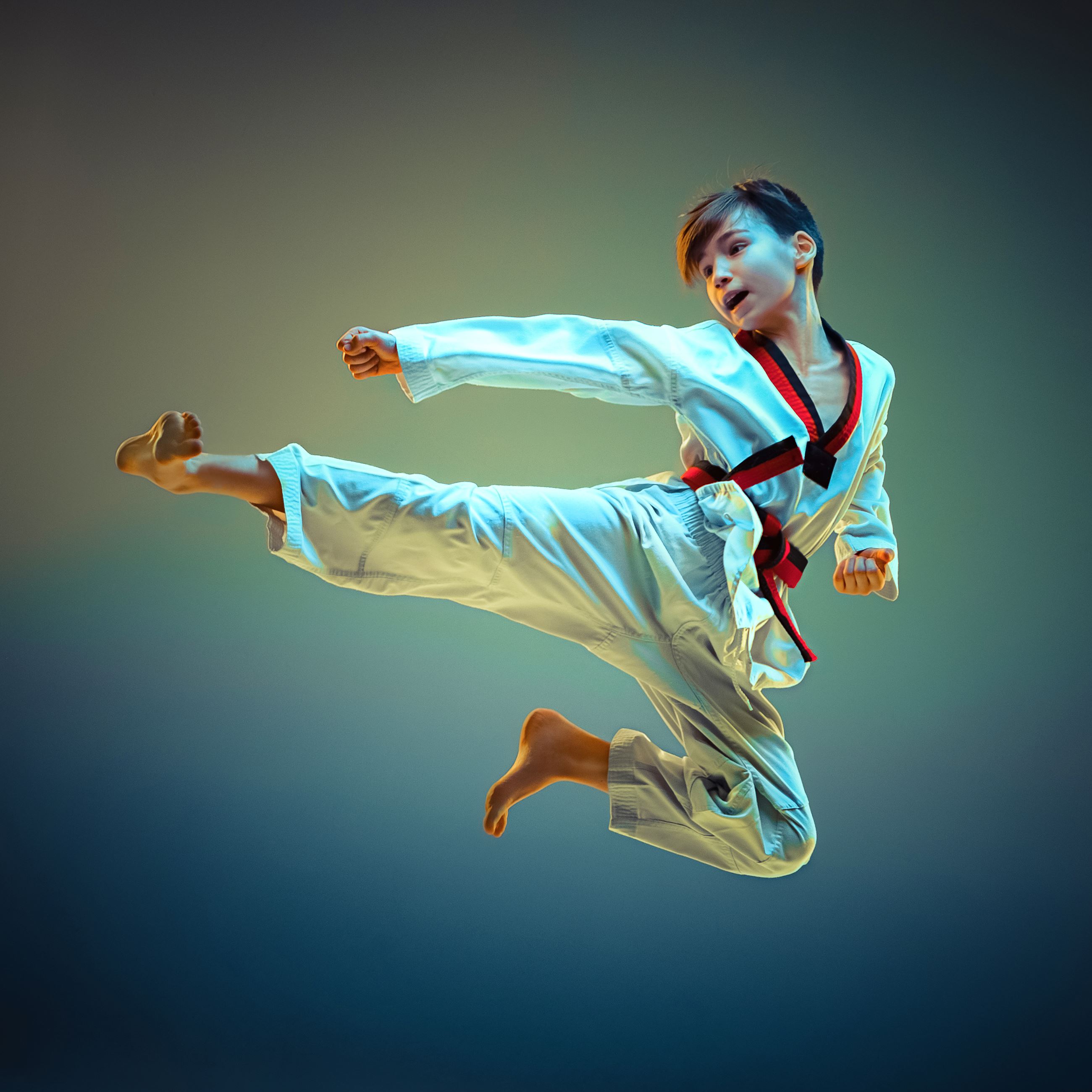 Detail Tae Kwon Do Images Nomer 21