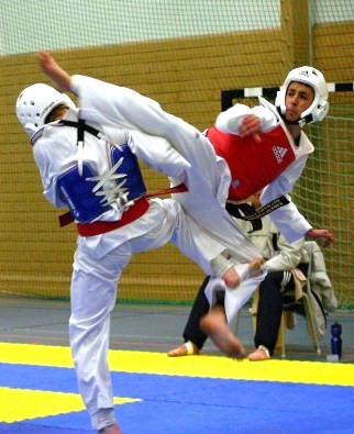 Detail Tae Kwon Do Images Nomer 25