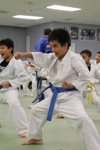 Detail Tae Kwon Do Images Nomer 46