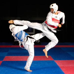 Detail Tae Kwon Do Images Nomer 50