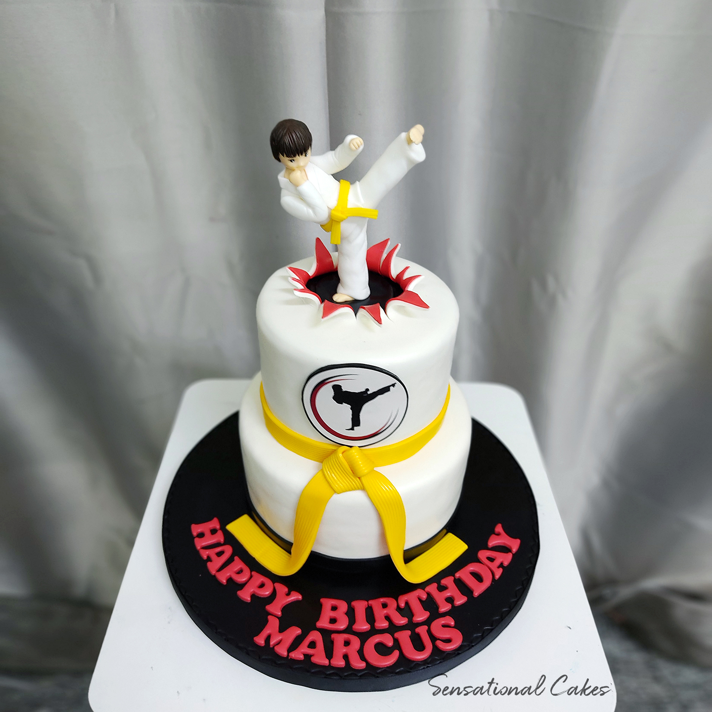 Detail Taekwondo Birthday Cakes Nomer 28