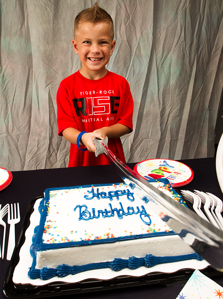 Detail Taekwondo Birthday Cakes Nomer 45