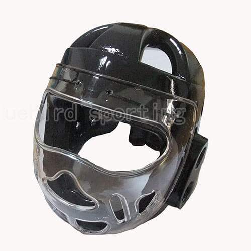 Detail Taekwondo Face Shield Nomer 18