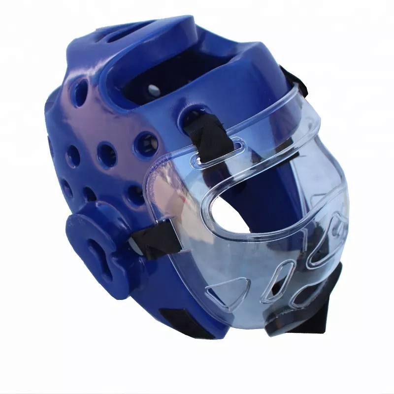 Detail Taekwondo Face Shield Nomer 35