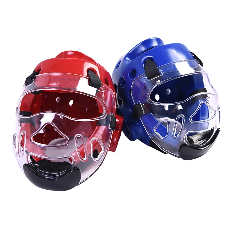 Detail Taekwondo Face Shield Nomer 39