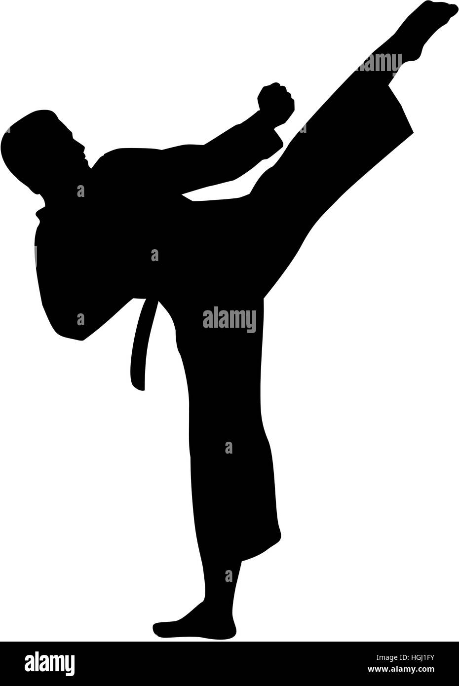 Detail Taekwondo Kick Silhouette Nomer 13