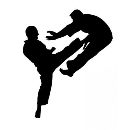 Detail Taekwondo Kick Silhouette Nomer 14