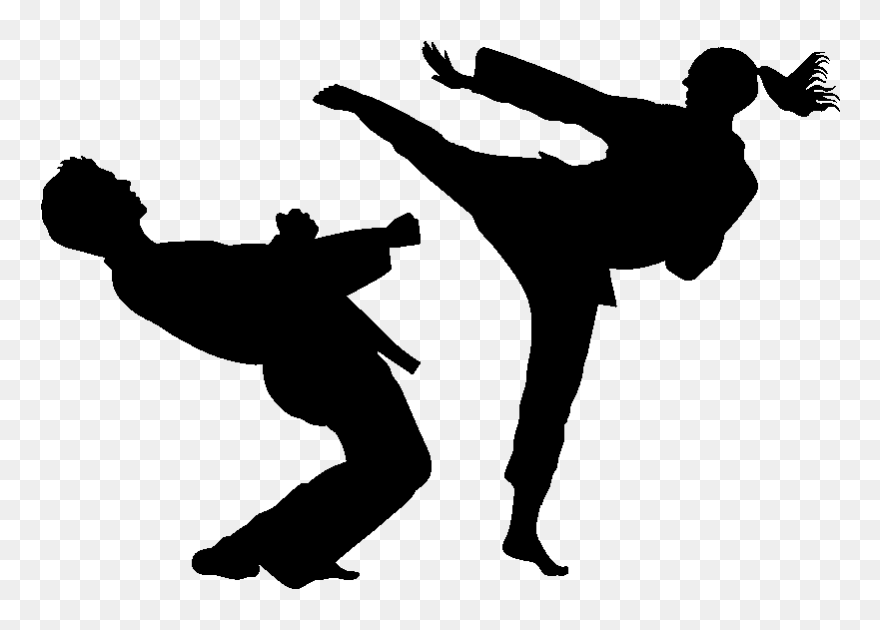 Detail Taekwondo Kick Silhouette Nomer 17