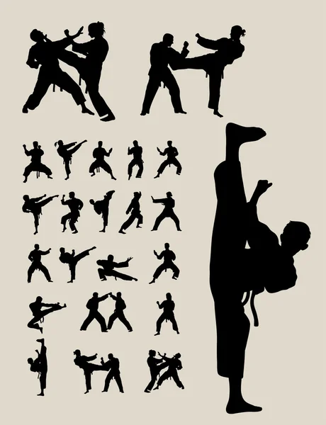 Detail Taekwondo Kick Silhouette Nomer 22