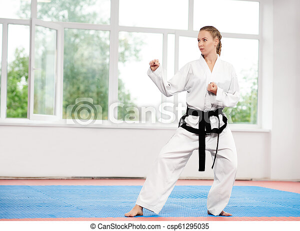 Detail Taekwondo Kimono Nomer 26