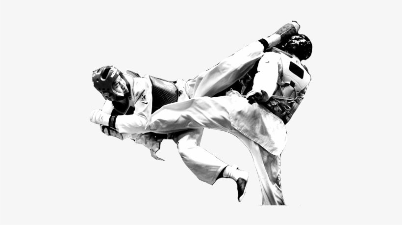 Detail Taekwondo Logo Png Nomer 24