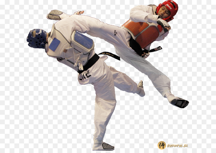 Detail Taekwondo Logo Png Nomer 36