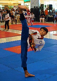 Detail Taekwondo Pic Nomer 38