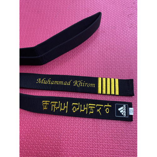 Detail Taekwondo Sabuk Hitam Nomer 2