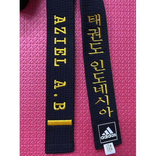 Detail Taekwondo Sabuk Hitam Nomer 14