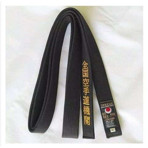 Detail Taekwondo Sabuk Hitam Nomer 24