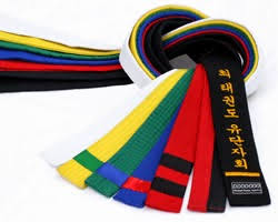 Detail Taekwondo Sabuk Hitam Nomer 49