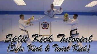 Detail Taekwondo Scissor Kick Nomer 3