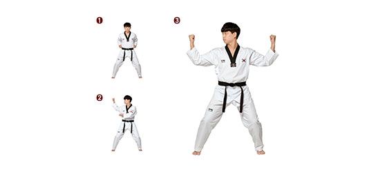 Download Taekwondo Scissor Kick Nomer 22