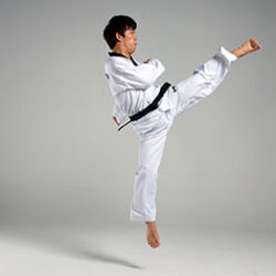 Detail Taekwondo Scissor Kick Nomer 36