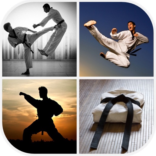 Detail Taekwondo Wallpaper Nomer 26