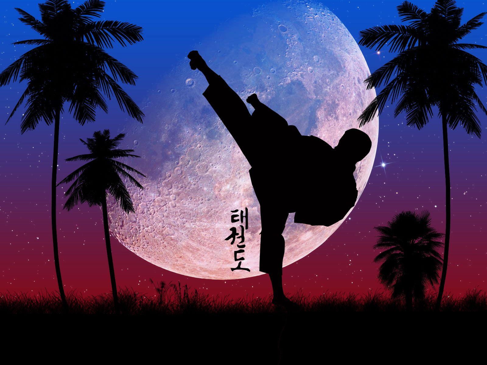 Detail Taekwondo Wallpaper Nomer 4