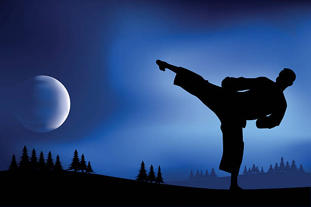 Detail Taekwondo Wallpaper Nomer 29