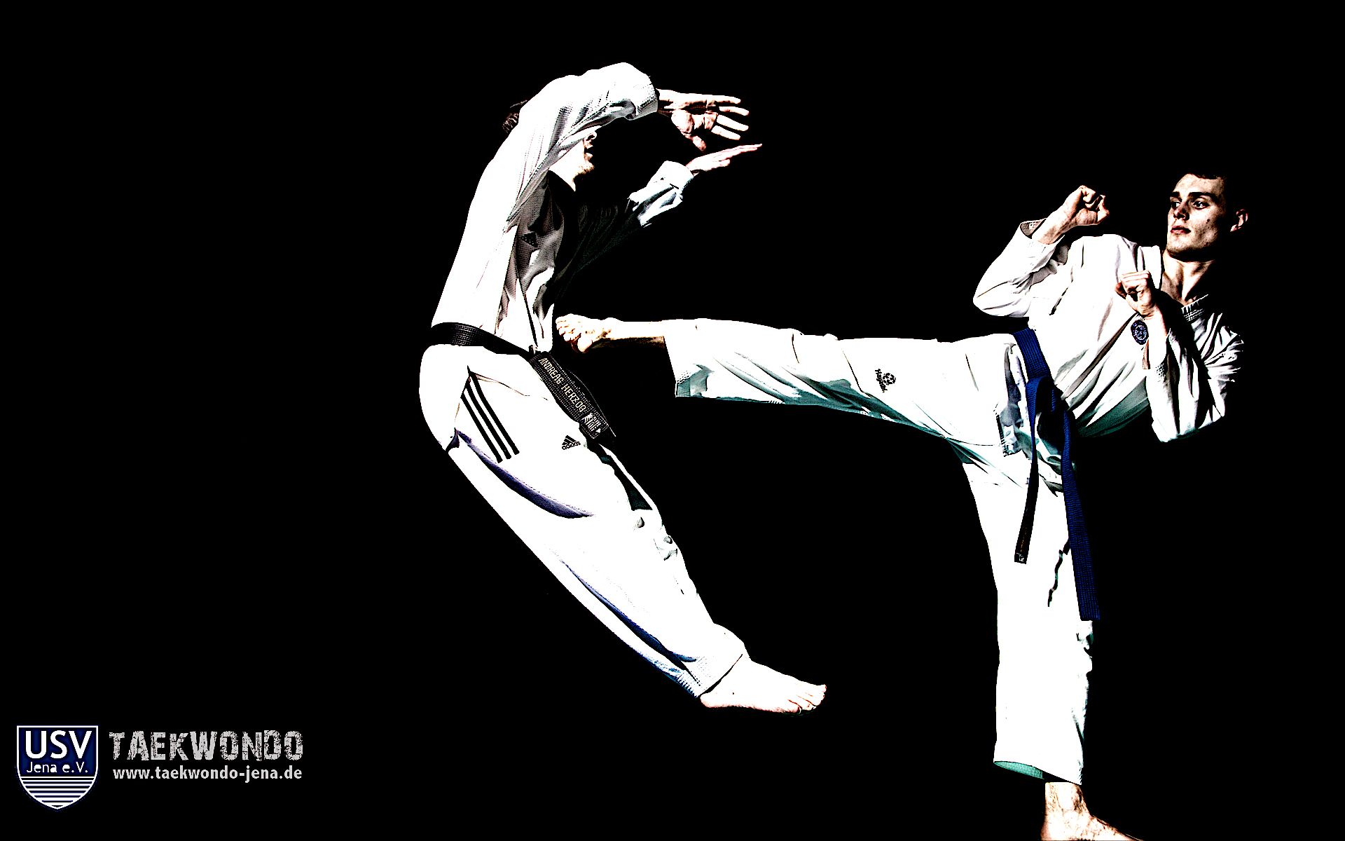 Detail Taekwondo Wallpaper Hd Nomer 20