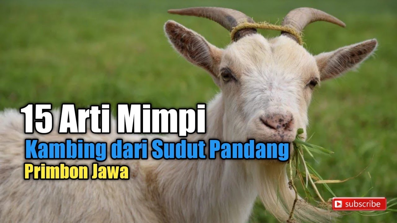 Detail Tafsir Mimpi Kambing Nomer 40