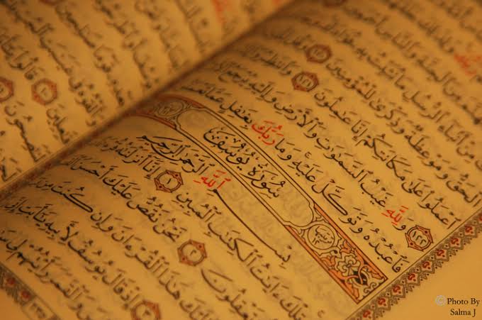 Detail Tafsir Surat Al Hujurat Ayat 12 Nomer 27