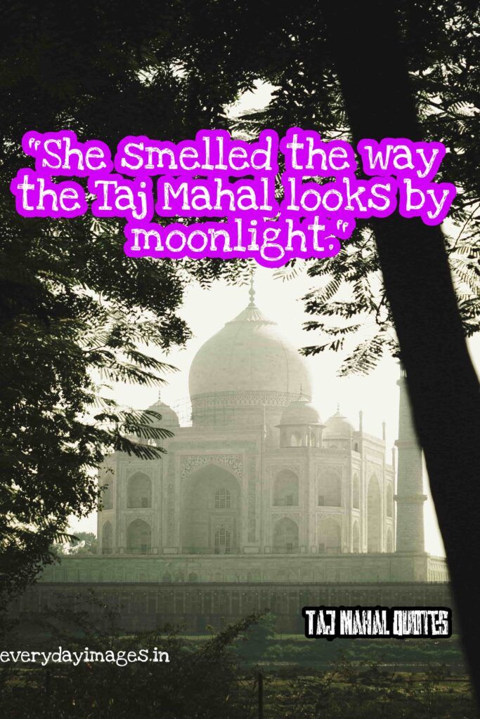 Detail Taj Mahal Love Quotes Nomer 15