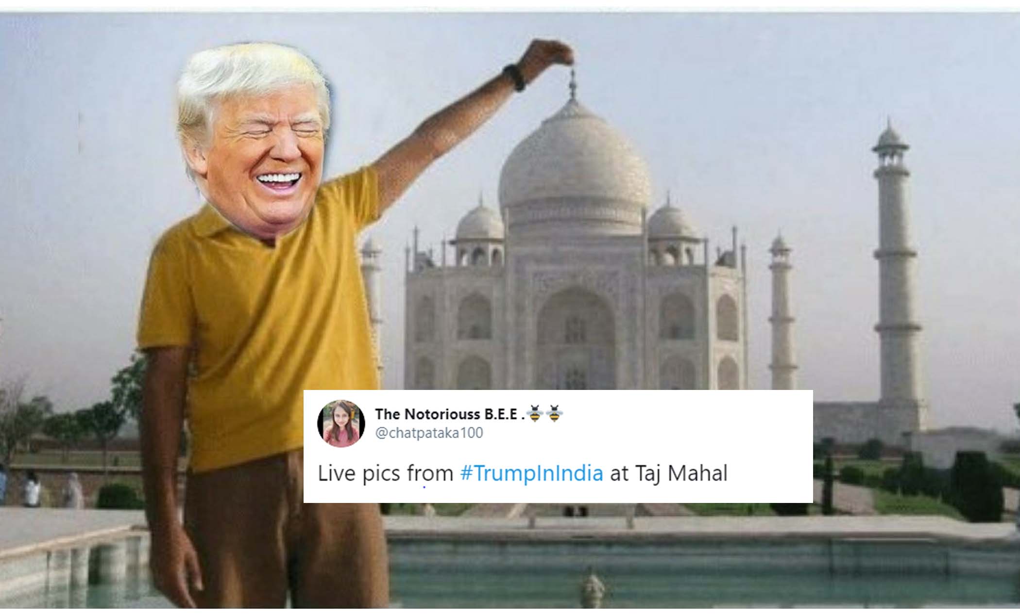 Detail Taj Mahal Meme Nomer 17