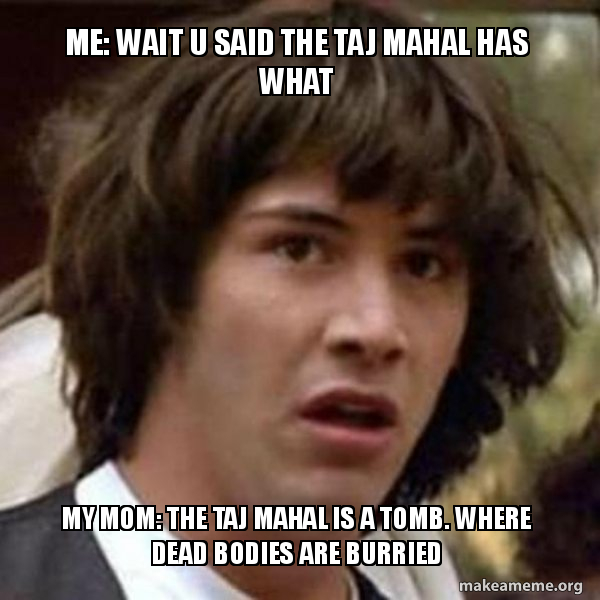 Detail Taj Mahal Meme Nomer 35