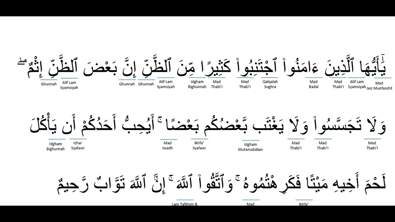 Detail Tajwid Surat Al Hujurat Ayat 10 Dan 12 Nomer 14