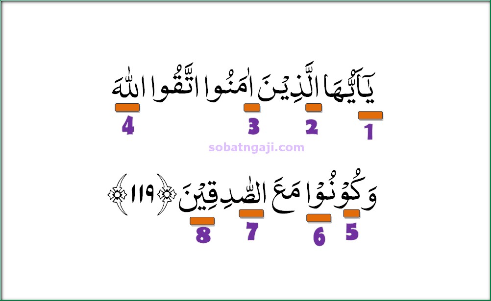 Detail Tajwid Surat Al Hujurat Ayat 11 Dan 12 Nomer 48