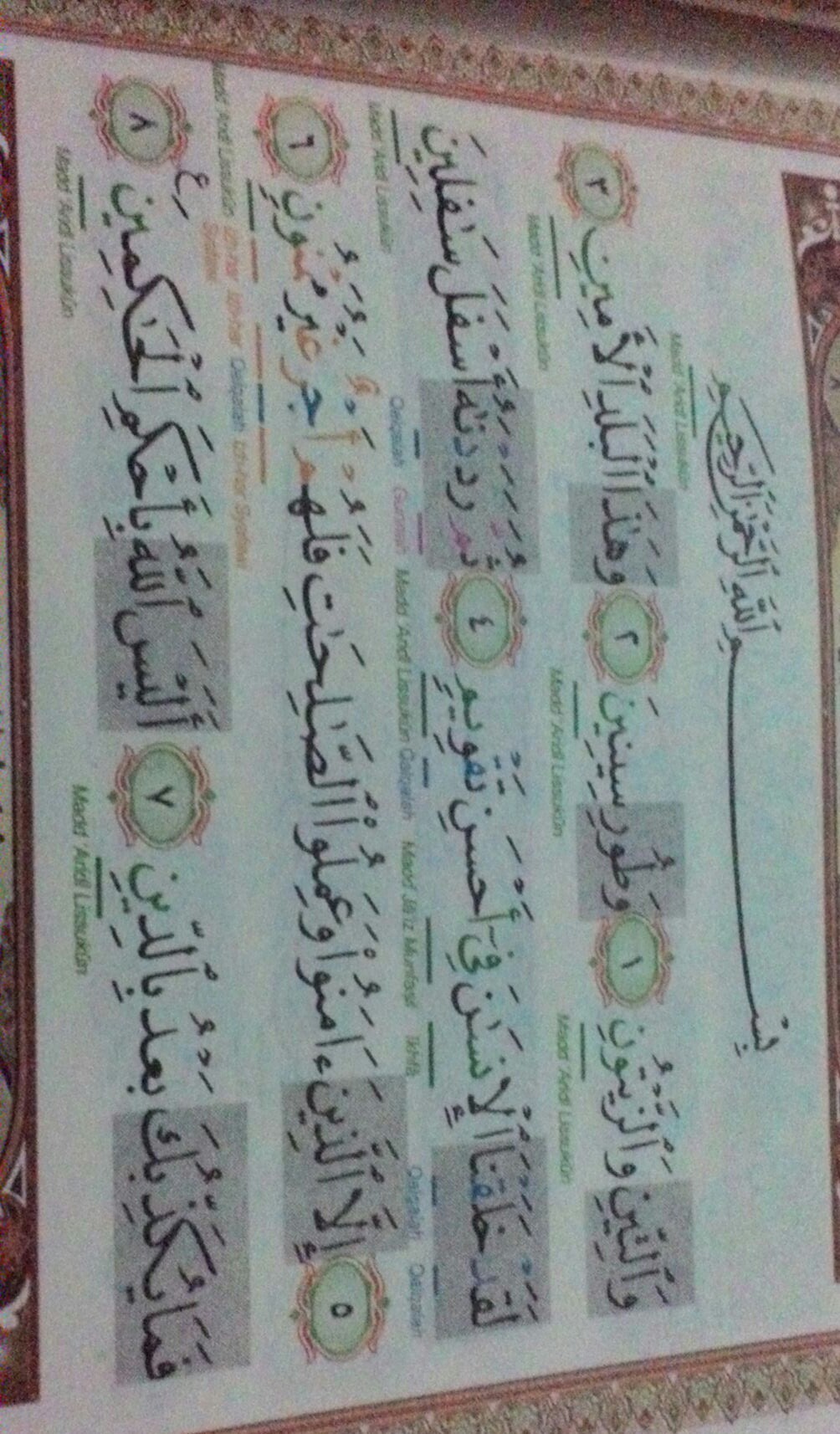 Detail Tajwid Surat At Tin Ayat 1 8 Nomer 16