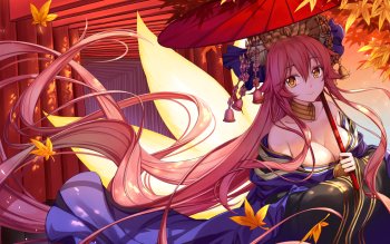 Detail Tamamo No Mae Wallpaper Nomer 4