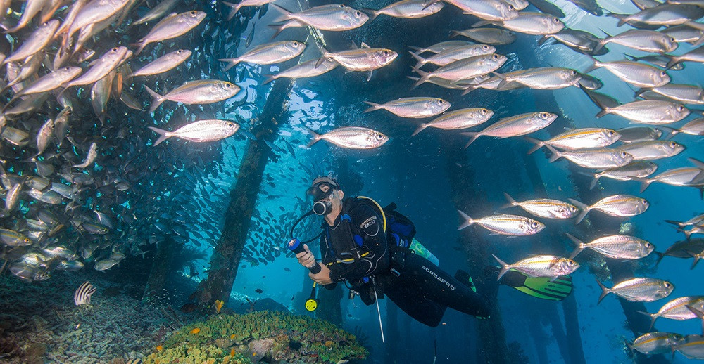 Detail Taman Bawah Laut Terindah Di Dunia Nomer 47