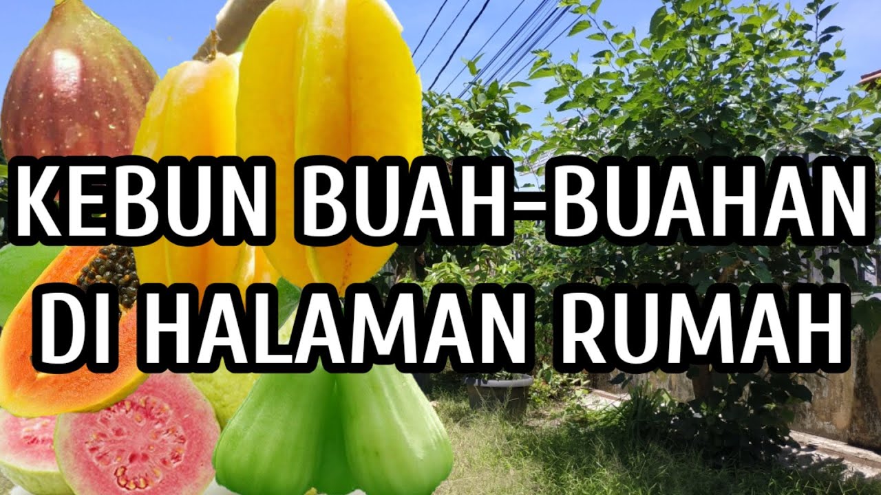 Detail Taman Buah Buahan Nomer 14