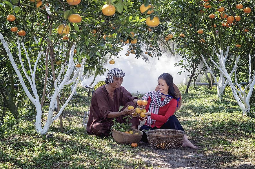 Detail Taman Buah Buahan Nomer 25