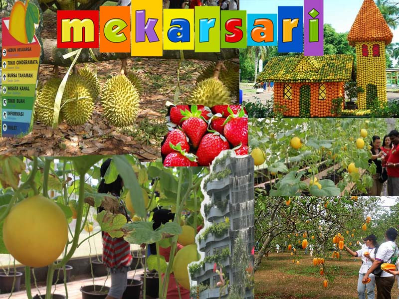 Detail Taman Buah Buahan Nomer 28