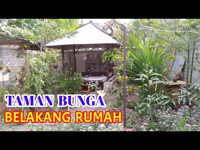 Detail Taman Bunga Belakang Rumah Nomer 16