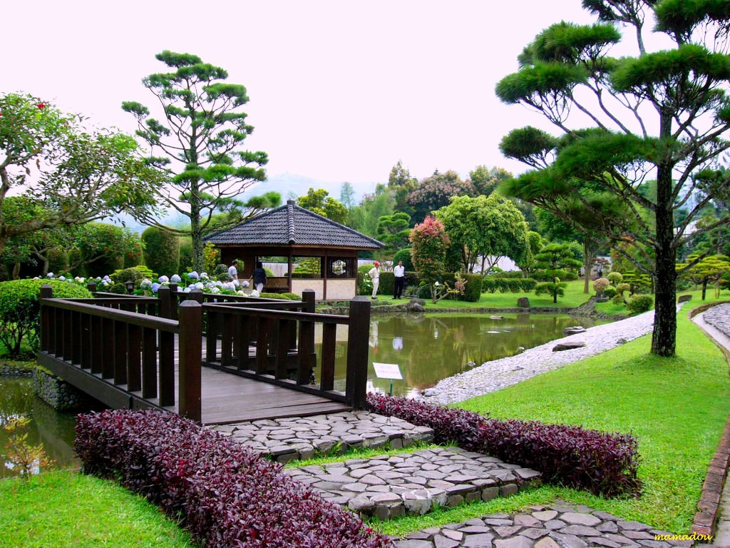 Detail Taman Bunga Belakang Rumah Nomer 28