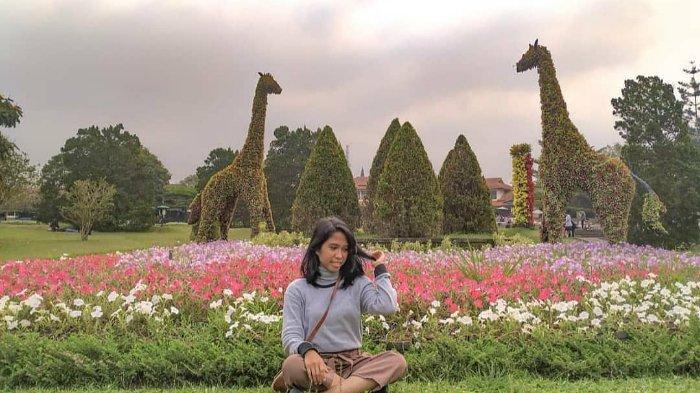 Download Taman Bunga Bogor Photo Nomer 17