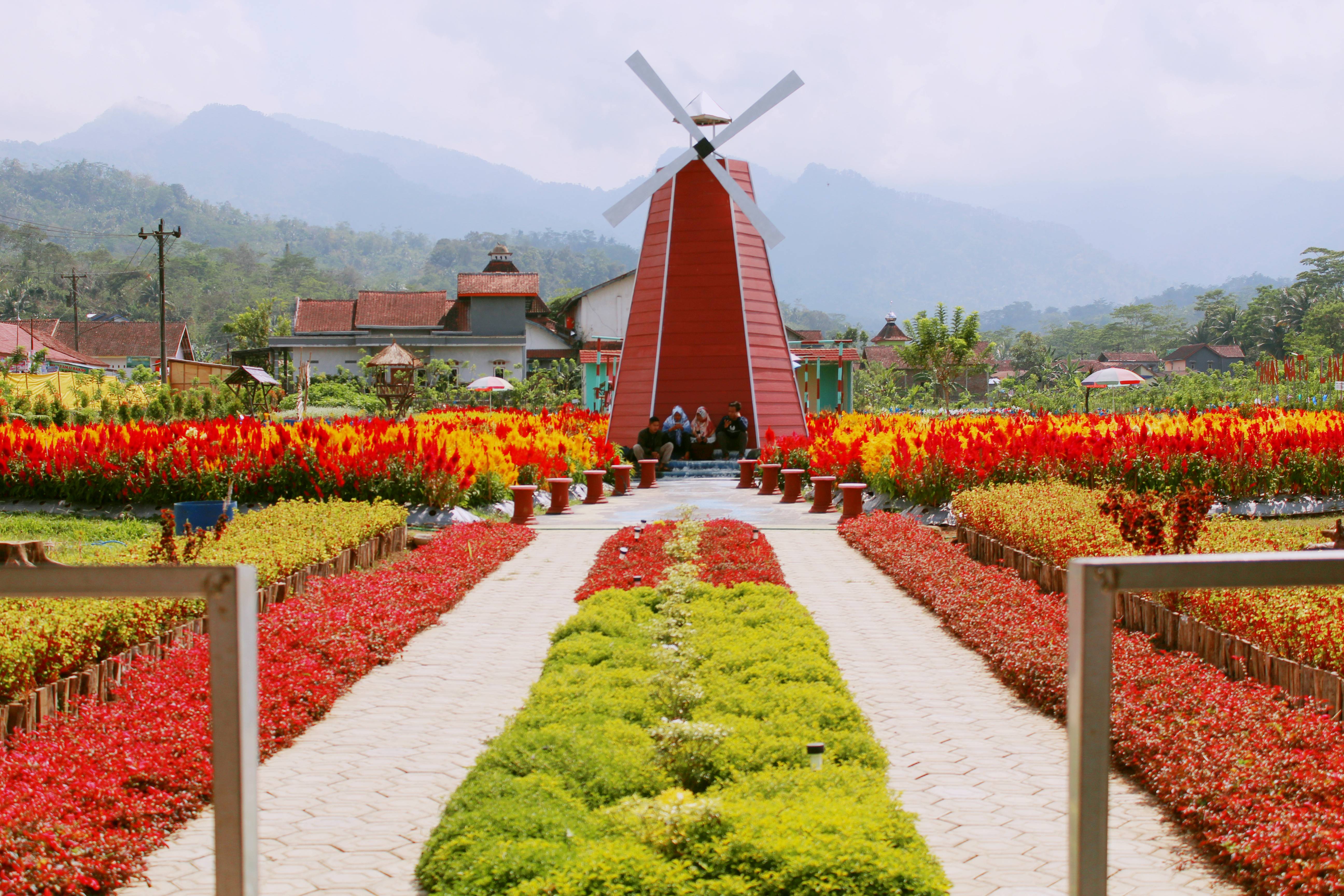 Detail Taman Bunga Di Belanda Nomer 37